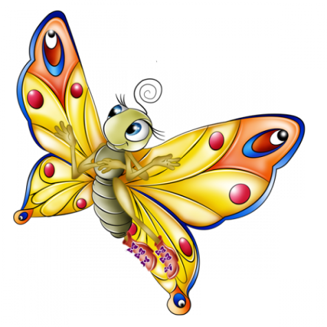 butterfly pictures 475x475